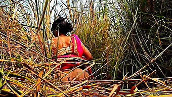 Hd Video Of Busty Indian Mom'S Outdoor Sex Adventure