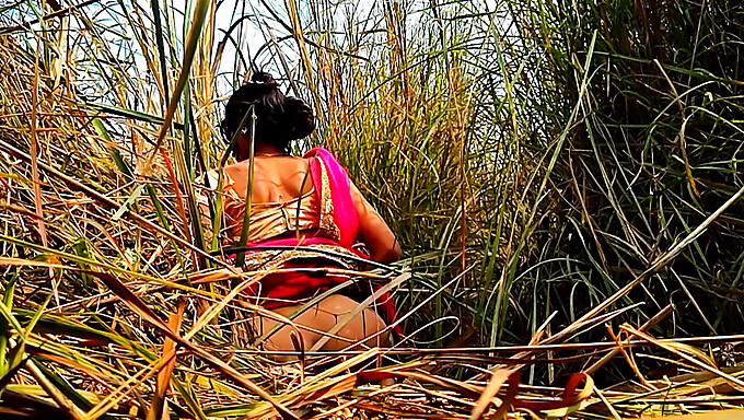 Hd Video Of Busty Indian Mom'S Outdoor Sex Adventure